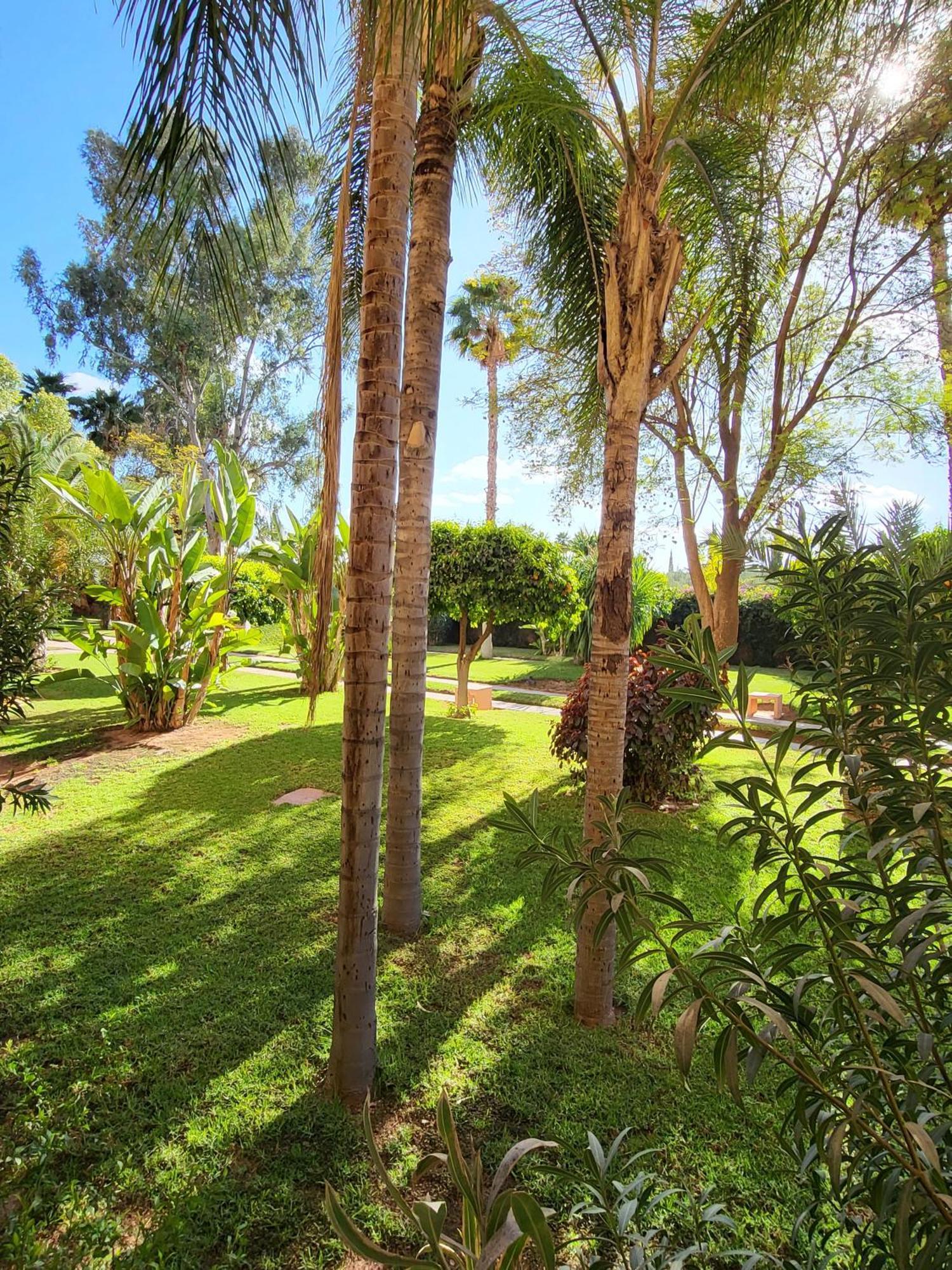 Oxygène Appartamento Marrakesh